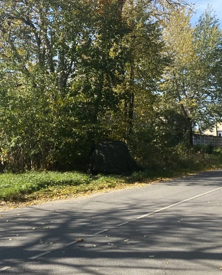 Сетка для укрытия/маскировки готовая