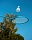 Прочее